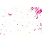 Патогенные бактерии. На испанском языке, 1004149 [W13324S], Испанский (Small)