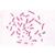 Микропрепараты «Генетика, репродукция и эмбриология», серия V, на английском языке, 1004229 [W13404], Английский (Small)