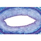 Histology of Vertebrata Excluding Mammalia - English Slides, 1004230 [W13405], 영어 (Small)