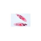 Paramaecium - ingl&eacute;s, 1004247 [W13422], Ingl&eacute;s (Small)