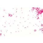 Микропрепараты &laquo;Патогенные бактерии&raquo;, на английском языке, 1004249 [W13424], Английский (Small)