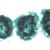 隐花植物门，补充组II, 1004252 [W13427], 显微镜载玻片 (Small)