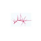 Fanerogame (Phanerogamae), serie complementare, 1004254 [W13429], Inglese (Small)