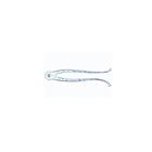 Phanerogamae, Supplementary Set - English Slides, 1004254 [W13429], 영어 (Small)