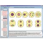 CD with micro images for school series B, 1004270 [W13451], Biology Software (Small)