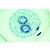 马蛔虫胚胎, 1013479 [W13458], 细胞分裂 (Small)