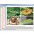 The World of Insects, Interactive CD-ROM, 1004291 [W13522], Biology Software (Small)