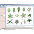 El reino vegetal (botánica), CD-ROM, 1004294 [W13525], Software de biología
