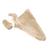 3B Scientific® ORTHObones 高级版肩胛骨, 1018517 [W19151], 3B ORTHObones高级版模型产品 (Small)