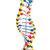 DNA Double Helix Model, 1005128 [W19205], DNA Models (Small)