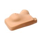 Outer chest skin for clinical trainer, 1005161 [W19342], Replacements