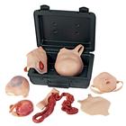 Neonatal Wound Kit, 1017261 [W19368], Moulage and Wound Simulation