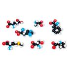 Set di 8 amminoacidi, molymod®, 1005288 [W19712], Modelli molecolari