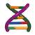 Modelo de hélice dupla de DNA, conjunto do aluno, 1005300 [W19780], Estrutura e função do DNA (Small)