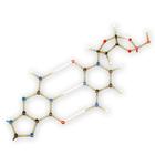 Collection biochimie pour &ecirc;l&egrave;ves, 260, Orbit&trade;, 1005304 [W19803], Kits de mod&egrave;les mol&eacute;culaires (Small)