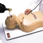 Simulador de intubação endotraqueal, 1005396 [W30508], Gestão das vias aéreas adulto
