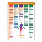 Trigger Point Chart Muscle Movement, W41172MM, Therapy Books