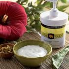 Lotus Touch Organic Naturals Massage Cream 1 Gallon, W42001CG, Cremas de masaje
