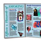 Effects & Hazards of Smoking, 3004623 [W43064], Tobacco Education