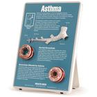 Asthma and Allergies Education