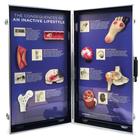 Consequences of An Inactive Lifestyle 3D Display, 1018300 [W43147], Obesity and Eating Disorders Education