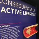 Consequences of An Inactive Lifestyle 3D Display, 1018300 [W43147], Heart Health and Fitness Education (Small)