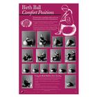Birth Ball Comfort Positions Chart, 3004696 [W43152], Pregnancy and Childbirth Education