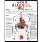Hazards of Alcohol 3D Framed Chart, 1020787 [W43165], Вред от употребления алкоголя и наркотиков