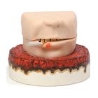 Smoker's Foul Mouth Display, 3004757 [W43234], Tobacco Education (Small)