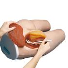I.M. Injection Simulator, 1005586 [W44004], Injections and Punctures (Small)
