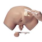 Prostatauntersuchungs-Simulator, 1005594 [W44014], Untersuchungen am Mann