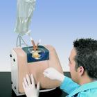 Spinális injekciós szimulátor, 1005603 [W44031], INJEKCIÓ ÉS PUNKTUÁCIÓ