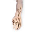Advanced Venipuncture and Injection Arm, White, 1005678 [W44216], Injections and Punctures (Small)