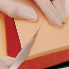 Suture Kit, 1017981 [W44423], Suturing and Bandaging (Small)