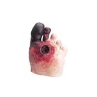 Нездоровая нога, набор по уходу, 1012393 [W44727], Здоровое питание (Small)