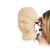진단 및 절차적 귀 훈련기  Diagnostic and Procedural Ear Trainer, 1017258 [W44747], 이비인후 검사 (Small)
