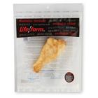 Chicken Drumstick Food Replica, 3004446 [W44750CD], Food Replicas (Small)