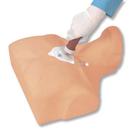 Simulador de infus&atilde;o intra-&oacute;ssea do esterno Adulto, 1017947 [W44772], Inje&ccedil;&otilde;es e Pun&ccedil;&atilde;o (Small)
