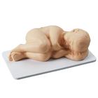 Simulador de punci&oacute;n lumbar pedi&aacute;trica., 1017244 [W44781], Inyecciones y punci&oacute;n (Small)