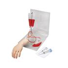 便携式手部静脉输液训练模型，浅色, 1017958 [W44797W], 注射和穿刺