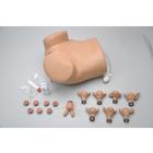 GYN/AID Jinekolojik Sim&uuml;lat&ouml;r, 1005789 [W45024], Jinekoloji (Small)