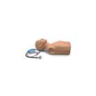 HAL ® Adult Heart and Lung Sounds Skills Trainer Torso, 1019857 [W45099], Auscultation
