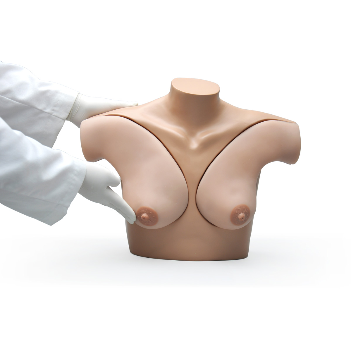 Breast model - L51D - 3B Scientific - breast examination / female