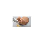 ZACK&reg; Multipurpose Male Care Simulator, 1012487 [W45108], Male Examination (Small)