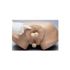 ZACK&reg; Multipurpose Male Care Simulator, 1012487 [W45108], Male Examination (Small)