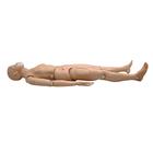 CPR SIMON BLS - Full Body with Venous Sites, 1017559 [W45115], BLS Adult