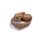 孕妇腹部触诊训练模块--, 1005823 [W45150], 产科