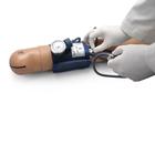 스피커 110V가 있는 혈압 훈련 시스템  Blood Pressure Training System with Speakers 110V, 1019671 [W45159-1], 혈압