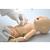 早产儿发绀复苏训练模型, 1018862 [W45181], 新生儿患者护理 (Small)