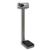 Detecto Stainless Steel Eye-Level Physician Scales w/ Height Rod, 1017445 [W46245S], Professional Scales (Small)